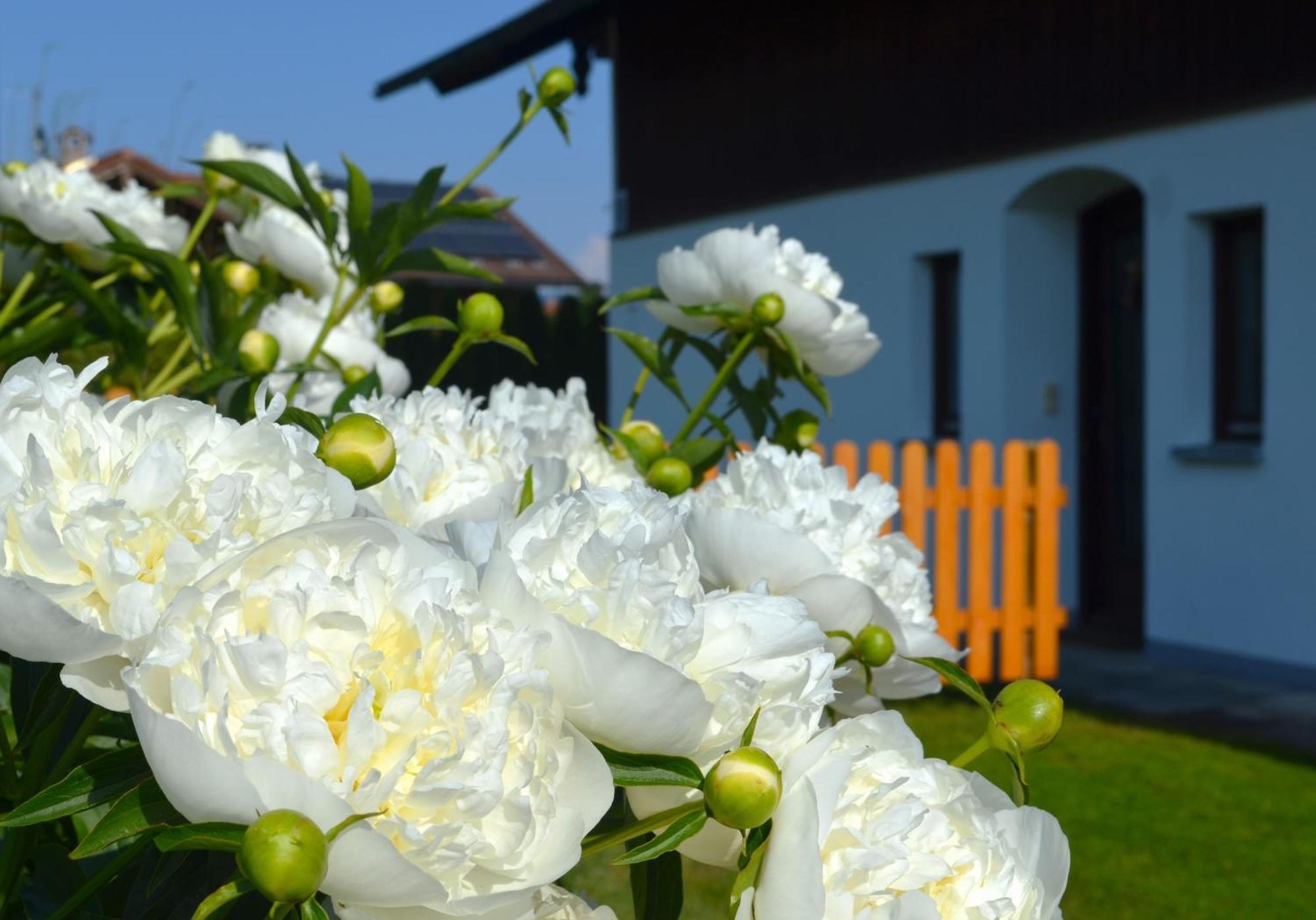 Ferienhaus Antdorfer Gartenglueck Ngoại thất bức ảnh